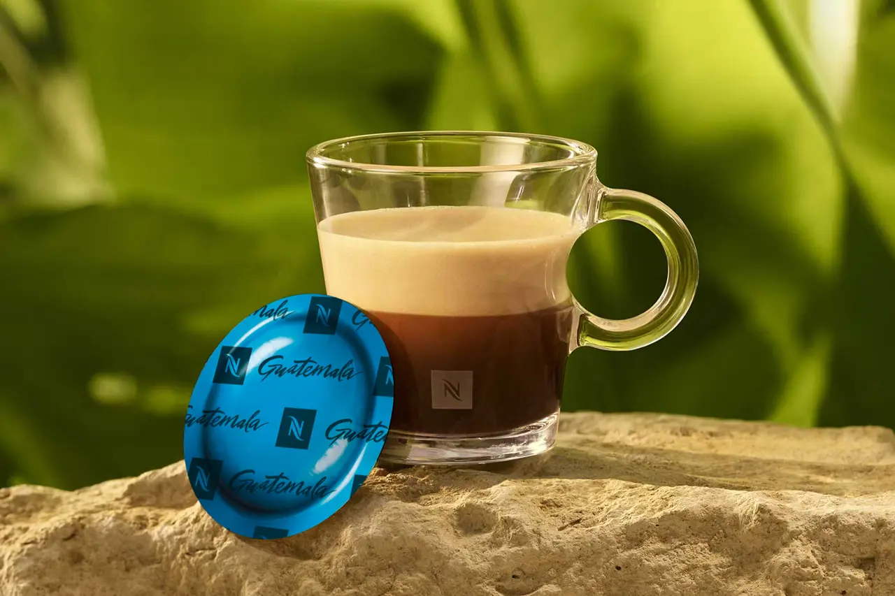 Professional Mood Guatemala