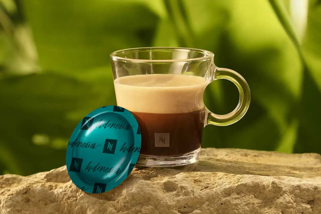 Professional Mood Indonesia